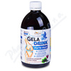 Orling Geladrink Forte Hyal biosol černý rybíz 500 ml