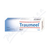 Traumeel S drm.ung. 1 x 50 g